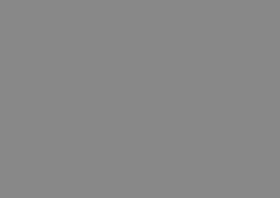 Covermaster 846 taupe