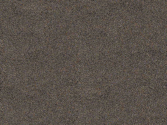 Africa Skin