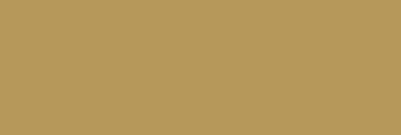 beige RAL 1001