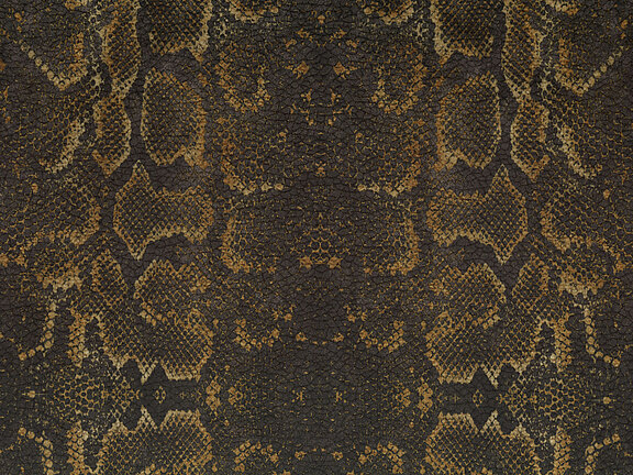Africa Snake T84