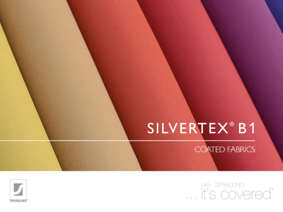 Farbkarte Silvertex B1
