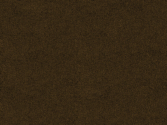 Africa Skin T74