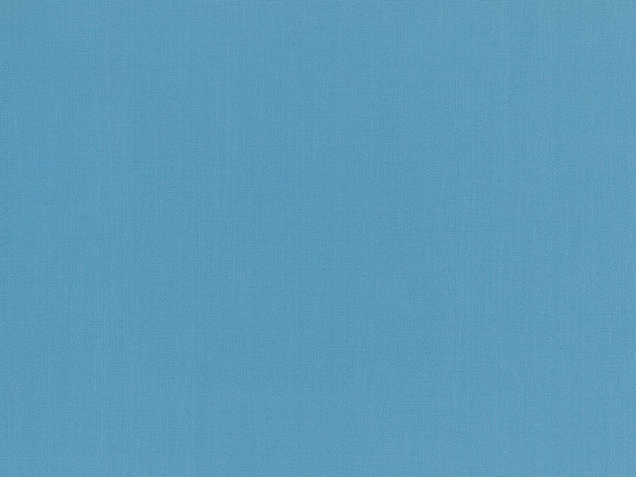Siesta_plain_17.jpg 