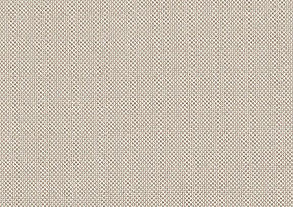 NAT 10021 Canvas