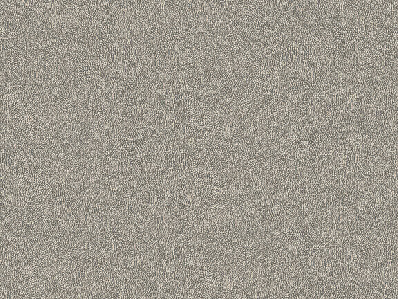 Africa Skin T36