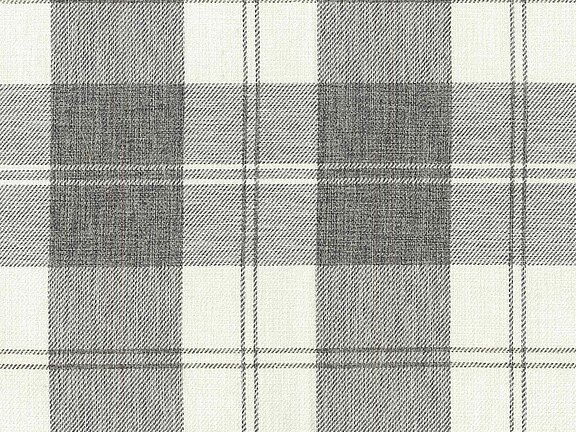 Checks