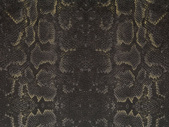 Africa Snake T66