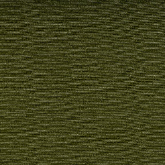 122-5020_Basil.jpg 