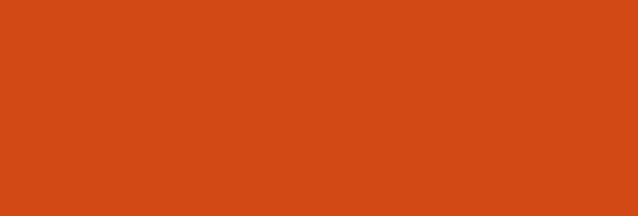 orange RAL 2004