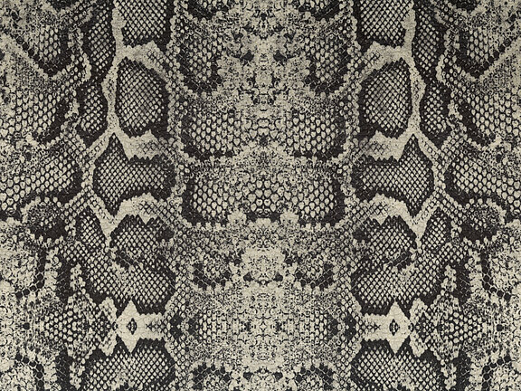 Africa Snake