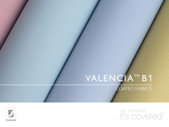 Farbkarte Valencia B1