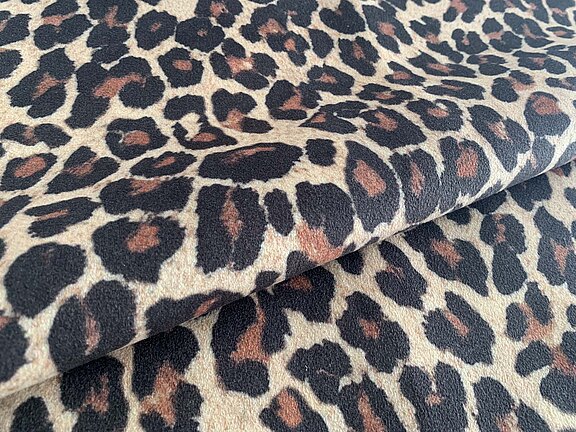Africa Jaguar