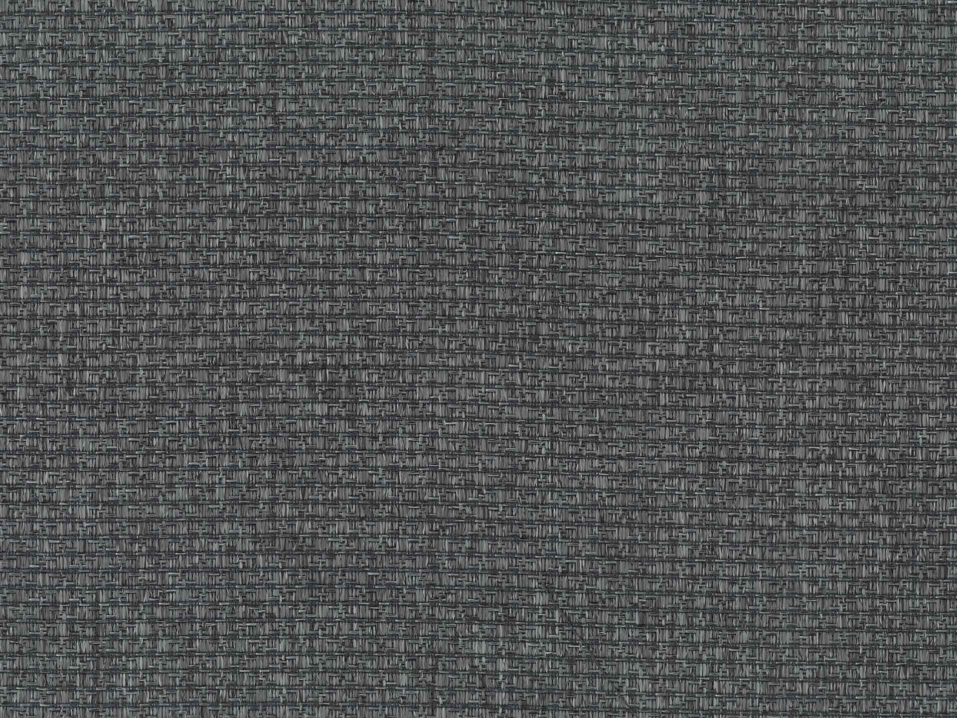 Bamboo Bamboo_56.jpg